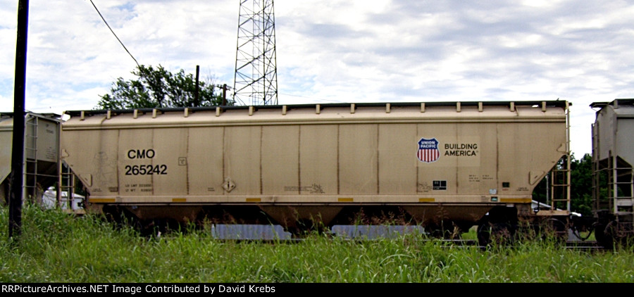 CMO 265242